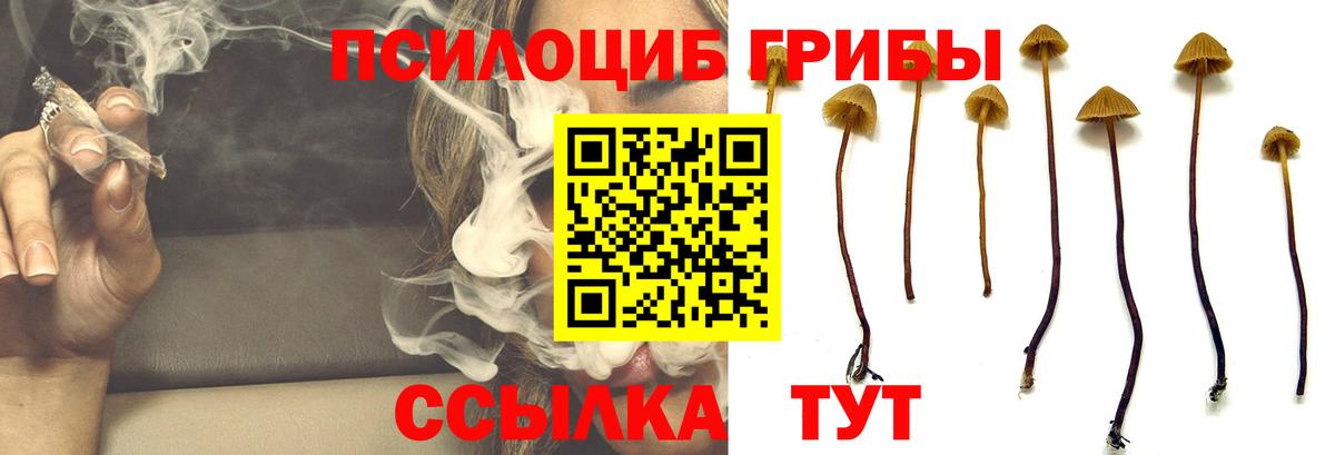 Галлюциногенные грибы Magic Shrooms Воронеж